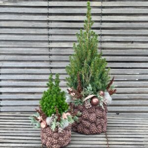 IMG_5671 | Gärtnerei Andel