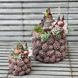 IMG_5677 | Gärtnerei Andel