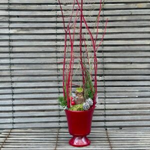 IMG_5686 | Gärtnerei Andel