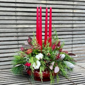 IMG_5692 | Gärtnerei Andel