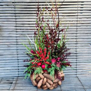 IMG_5709 | Gärtnerei Andel