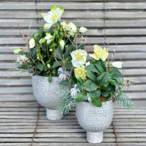 IMG_5732 | Gärtnerei Andel