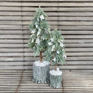 IMG_5738 | Gärtnerei Andel