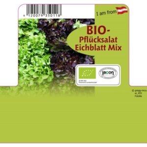 Salat - Eichblatt Mix BIO