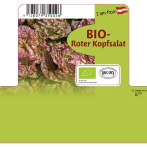 Salat - Kopfsalat rot BIO