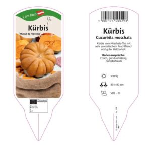 Kürbis - Muskat de Provance