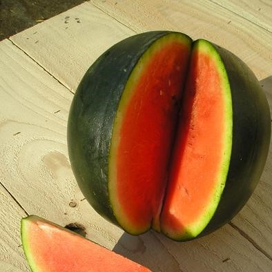 Melone - Miniwassermelone