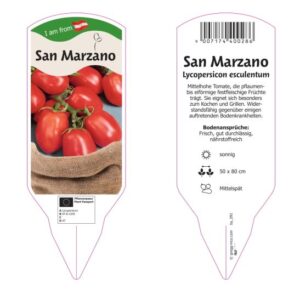 Tomate - San Marzano