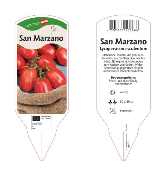 Tomate - San Marzano
