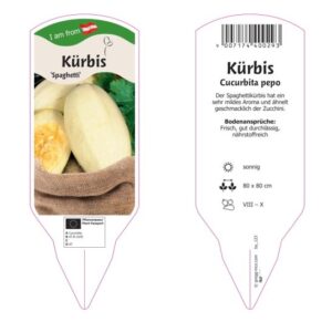 Kürbis - Spagettikürbis