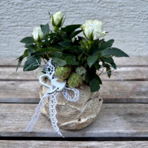 White Rose